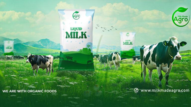milkmadeagro-musa-group3